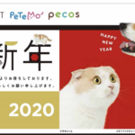 イオンペット福袋2020犬猫用は通販サイトで購入できる？予約方法や中身も徹底調査！